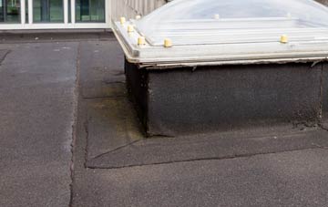 disadvantages of Ardnarff flat roofs