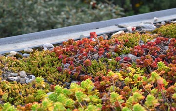 the cost of Ardnarff green roof installation