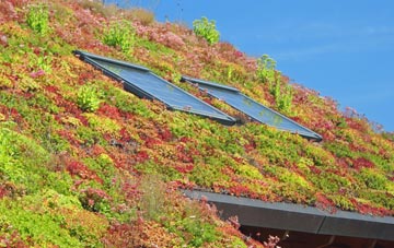 Ardnarff living roof systems