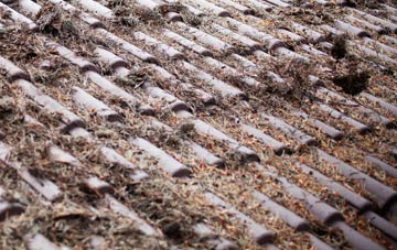 Ardnarff roof cleaning companies