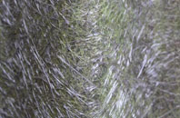 Ardnarff fibreglass roof work